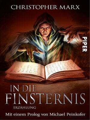 cover image of In die Finsternis